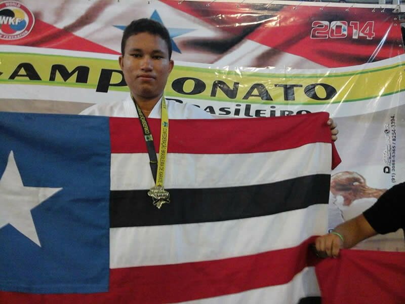 Campeonato Brasileiro 2014