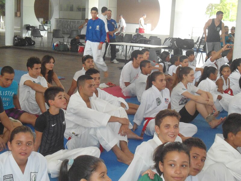 Piau? Open de Karate 2013