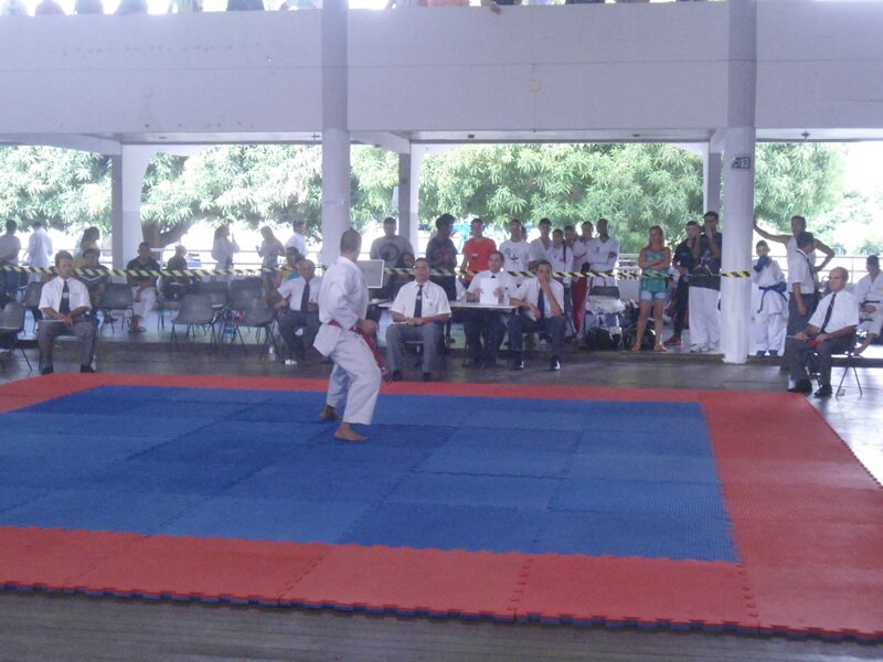 Piau? Open de Karate 2013