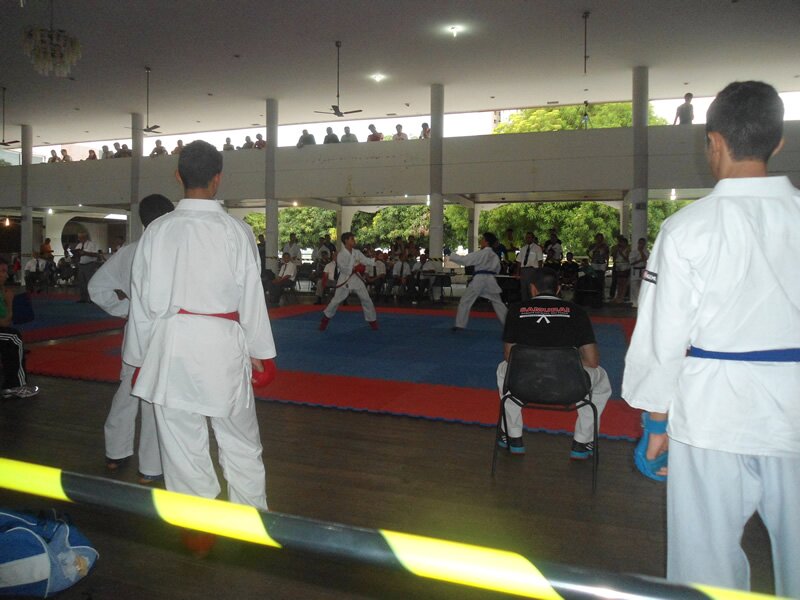 Piau? Open de Karate 2013