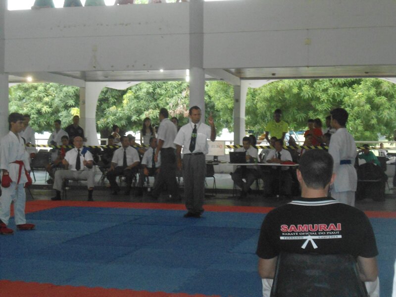 Piau? Open de Karate 2013