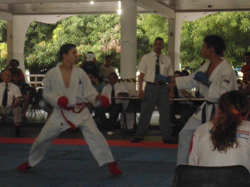 Piau? Open de Karate 2013