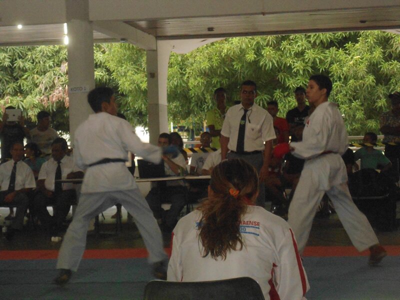 Piau? Open de Karate 2013