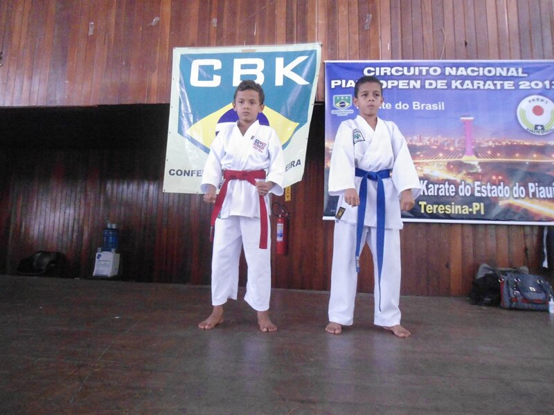 Piau? Open de Karate 2013