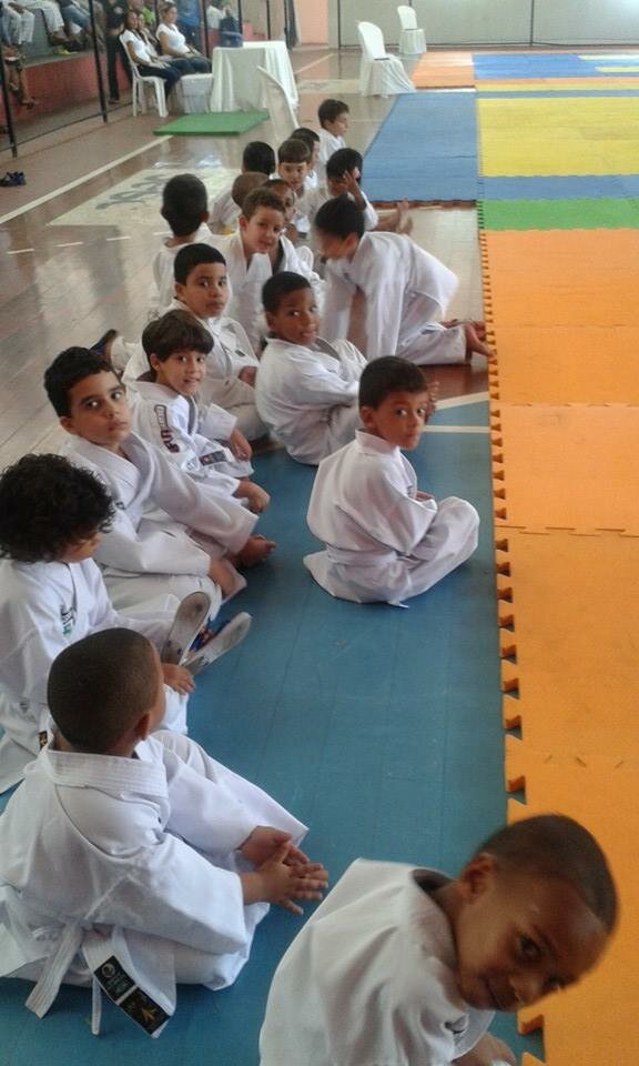 XXIV Copa Bud�-Kan de Karate